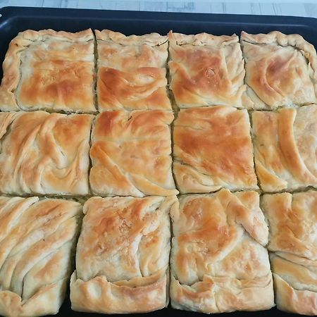 Guesthouse Zimovski Peštani Dış mekan fotoğraf
