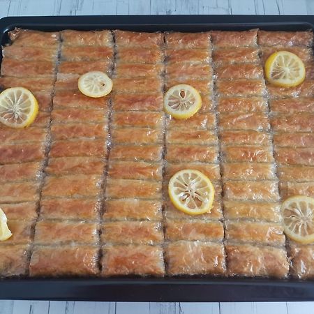 Guesthouse Zimovski Peštani Dış mekan fotoğraf