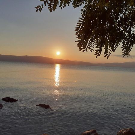 Guesthouse Zimovski Peštani Dış mekan fotoğraf