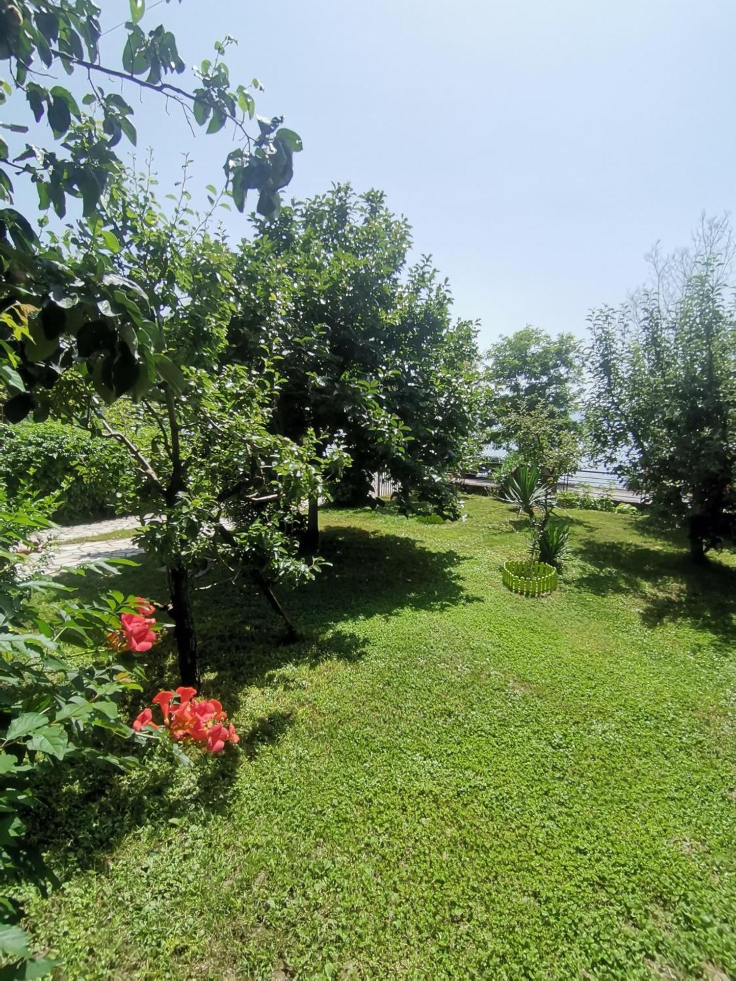Guesthouse Zimovski Peštani Dış mekan fotoğraf