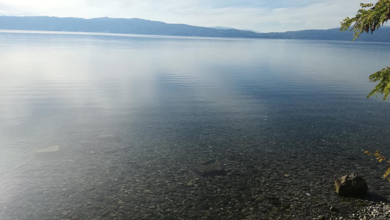 Guesthouse Zimovski Peštani Dış mekan fotoğraf