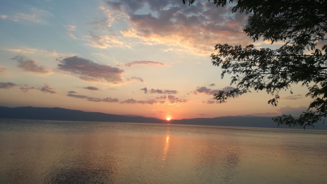 Guesthouse Zimovski Peštani Dış mekan fotoğraf
