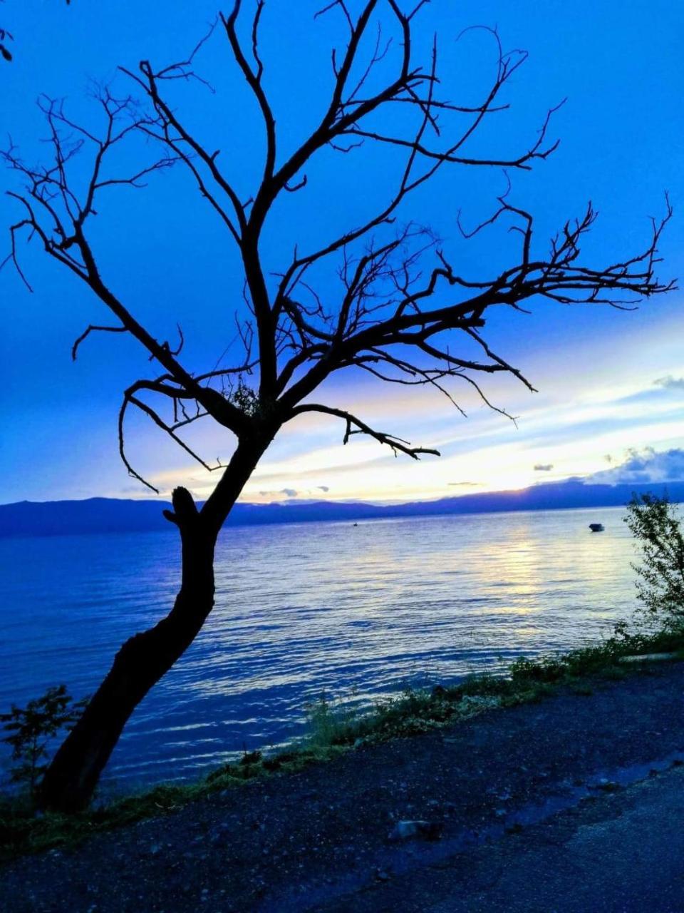 Guesthouse Zimovski Peštani Dış mekan fotoğraf